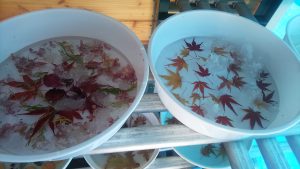 アイスボード作成中