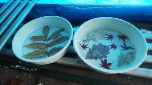 アイスボード仕込中