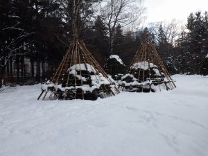 園内の大きなオンコの冬囲い　