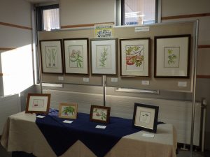 ボタニカルアート展 (1)