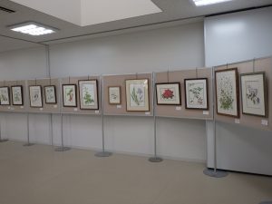 ボタニカルアート展 (2)