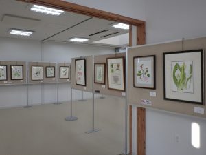ボタニカルアート展 (4)