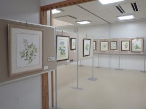 ボタニカルアート展 (5)