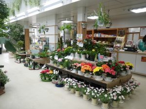 ☆4月3日火曜日　売店リニューアルオープンです！