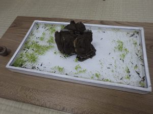 水盤がある一席。水を張った白い水盤に浮き草と岩石と黒い点々が見えます。