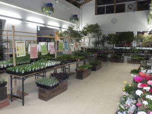 ハーブと野菜展　会場