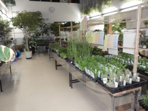 ハーブと野菜展の会場の様子