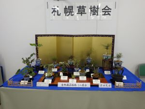 金の屏風の前にはおもとなどの葉物葉が変わっている木の鉢