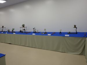 飾り付けられた席飾りのミニ盆栽が並ぶ