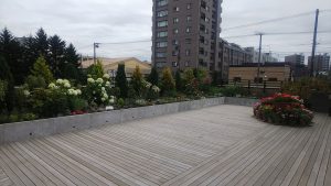 植栽が終わって、これから華やかになる２Ｆルーフガーデン