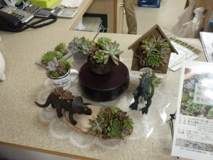 センターだよりと「多肉植物おもしろ寄せ植え教室」の見本
