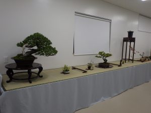 「秋の風流盆栽展」始まります