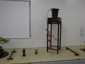 鉢から枝が下がった先に紅葉した葉と赤く割れた実がついたツリバナの盆栽の席