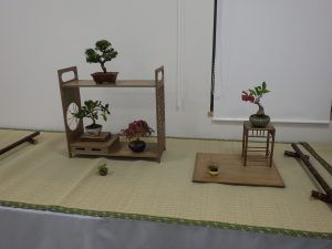 飾り棚や地板を使い、手のひらサイズの盆栽で構成された一席。一番小さな鉢は直径2cmほど。