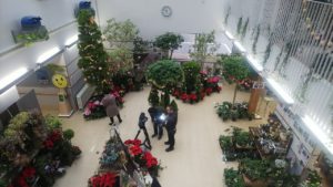 クリスマス展を取材するマスコミの方