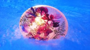 シクラメンやアジアンタムが入ったアイスボード