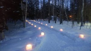 駐車場までの園路両側にスノーキャンドルが並ぶさま