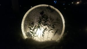 シロタエギクの入ったアイスボード