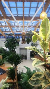 段ボール製の暖炉の上に鹿のはく製が展示されたスペース