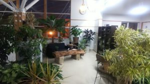 カラフルな葉っぱでパワー充電！&センターだより