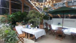 キッチンを再現した展示スペースに並ぶ植物