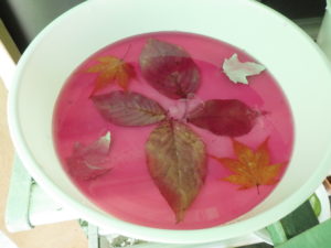 落ち葉が入ったこの皿はビーツからとった赤い水が張られています
