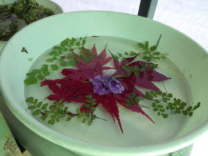 アイスボード。赤いモミジの葉とシクラメン、緑のアジアンタムの葉がまだ水に浮かんでいます