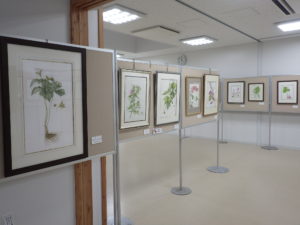 ボタニカルアート展