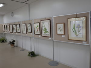 昨年の豊平公園ボタニカルアート展の様子