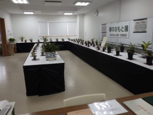 おもと春季展と臭いあいつ