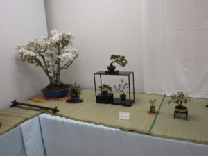 リンゴの大きな盆栽のある一席