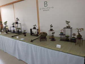 箱棚を使った小品盆栽がならぶ