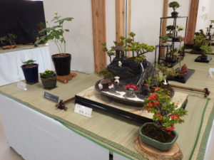 大きい盆栽鉢の中に山や川を模した石の上や横に小さな木や草が寄せ植えされており、一つの鉢の中で風景を表している盆景