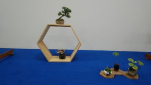 六角形の棚に置かれたミニ盆栽