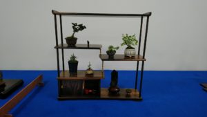 棚に並んだ小さな盆栽