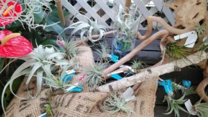 流木や麻布の上に置かれた販売品