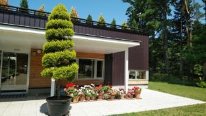 赤やピンクの花が咲く