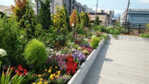 色とりどりの花が咲く