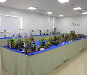 展示会会場の平飾りの様子