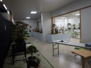 「盆栽展」開催！