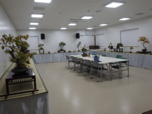 「秋の風流盆栽展」と紅葉