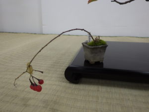 極小の鉢から出る枝先に赤い実がついている