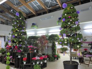 「ハンドメイド　クリスマス展」開催します！