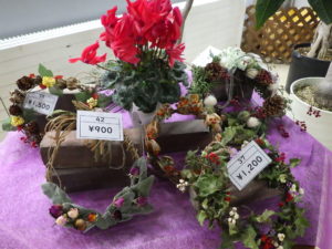 販売リースとシクラメンが並んでいる様子
