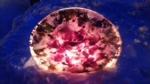 氷の板の中にシクラメンやアイビーがちりばめられている