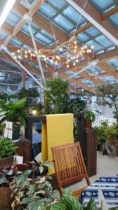 天井から下がるシャンデリア