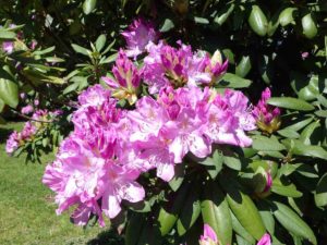 センターだより6月号をお届けします。