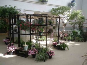 センターだより7月号をお届けします