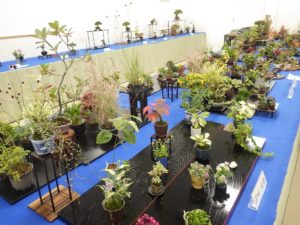 センターだより9月号とイベント情報について