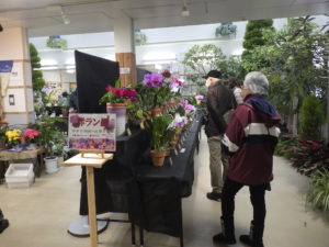 センターだより11月号とイベント情報